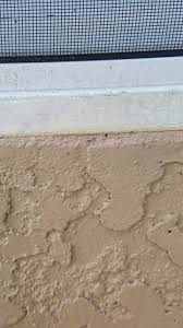 Serving tampa bay for over 30 years. Chet S Termite Pest Management Inc Home Facebook