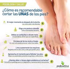 Yo las aletas uso unas largas que he cortado.y las palas uso las speedo,unas normales y unas medias palas. Consejos Para Cortar Las Unas De Los Pies Podoactiva Lideres En Podologia