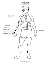 Lung Meridian