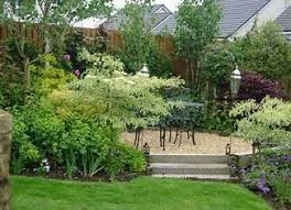 Plants For East Facing Garden Uk Bing Images Small Trees For Garden East Facing Garden Garden Ideas Uk