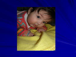 Ο ανθρώπινος εγκέφαλος