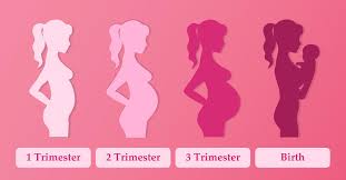 When to start taking prenatal vitamins? First Trimester Pregnancy Health Tips Elite Medical Center