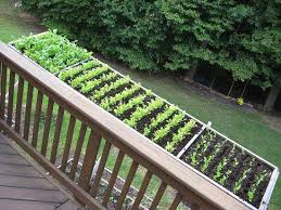11 Deck Vegetable Garden Ideas To Grow More In Less Space Vertical Vegetable Garden Vegetable Garden Design Garden Containers
