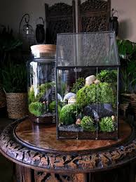 5 Overlooked Plants That Can Survive In The Almost Dark Large Greenhouse Moss Terrarium Indoor Plants Low Light