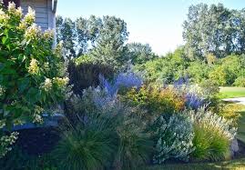 Perennial Gardens Designed And Installed By Northwind Perennial Farm Burlington Wi Perennial Garden Design Garden Design Perennial Garden