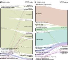 Cells derived from kidney tissues are anchorage dependent primary cell culture which requires another surface for attachment. Comparisons Of Ncbi And Gtdb Classifications Of Genomes Designated As Download Scientific Diagram
