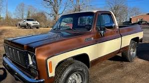 Image result for Brown 1979 GMC