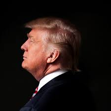 Why Trump's idea of 'renegotiating' the Paris climate agreement is so  bizarre