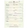 Since you've already seen a birth certificate template specifically for baby boys, here's one that's specifically designed to be used for baby girls. Https Encrypted Tbn0 Gstatic Com Images Q Tbn And9gcqhixx6bzdi Y8qkkm5zvrvhygybmtp5 Iefasvjb Gxhxaef X Usqp Cau