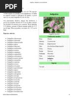 Image result for Indigofera ormocarpoides