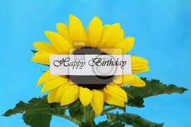 Alcune delle composizioni floreali di compleanno più richieste hanno rose a gambo lungo, gigli, orchidee, garofani, tulipani, gerbere, girasoli, lisianthus, peonie, anemoni. Scheda Di Buon Compleanno Con Il Girasole Carta Da Parati Carte Da Parati Speciale Auguri Girasole Myloview It