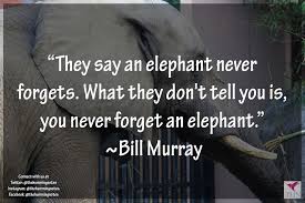 They say that somewhere in africa the elephants have a secret grave where they go to lie down, unburden their wrinkled gray bodies, and soar away, light. Save The Elephant Day Top Quotes For The Large Mammal The Humming Notes