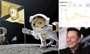 It came as dogecoin continued to fall after the technology. Dailymail Elon Musk Says Dogecoin Is Literally Going To The Moon News