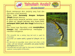 The sarang buaya (crocodile's nest) which is under the administration of pasir gudang municipal council. Happy Thursday Tahukah Sarang Buaya Pasir Gudang Facebook