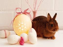 Le date delle vacanze di pasqua 2021 con idee e mete per vacanze e viaggi. Progetto Per Un Dremel Europe