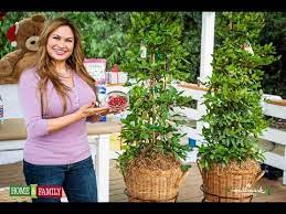 Do not allow to dry out. Miracle Berry Plant Makes Bitter Foods Taste Sweet Youtube
