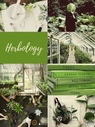 Herbology lessons in a student's first year at hogwarts consist mainly of lectures relating to plants and their uses. Harry Potter Moodboards Herbology Requested By Bombardamaximarp