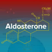 Image result for Aldosterone