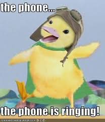 Pin By Mya Floyd On Zoe S Spot Wonder Pets Animal Memes Kids Party Inspiration