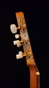 Calvin Cramer Acoustic Guitar, Rosewood back — Acoustic Strings of New  England