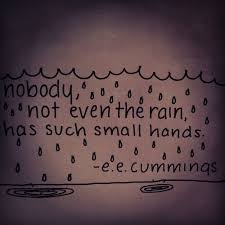 E E Cummings On Tumblr Words Even The Rain Some Enchanted Evening