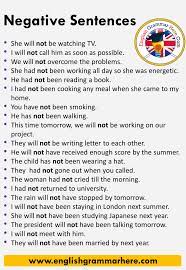 10 Negative Sentences In English English Grammar Here