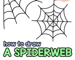 spiderweb