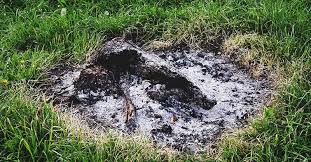 33 Helpful Wood Ash Uses - Don't Trash Your Wood Ash!