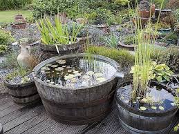 Creer Un Mini Bassin Jardin D Eau Bassin De Jardin Jardin Miniature