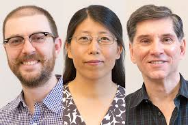 Faculty Receive Promotions & Tenure