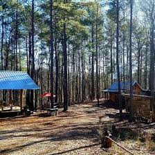 Talladega national forest is located in childersburg. Mithilfe Bei Verschiedenen Arbeiten Auf Unserem Waldgrundstuck Gesucht Im Talladega National Forest Alabama Usa