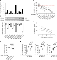 Cancer council queensland and the queensland department of health are excited to support the sunsmart shade creation initiative. Mcl 1 Gains Occur With High Frequency In Lung Adenocarcinoma And Can Be Targeted Therapeutically Nature Communications