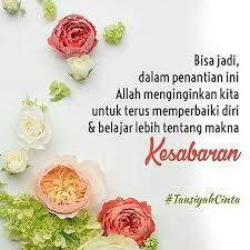 Simak kumpulan caption lucu yang bisa kamu pakai di sini! Instagram Photo By Majelis Tausiyah Cinta Jul 22 2016 At 1 19pm Utc Bijak Kata Kata Kata Kata Bijak