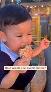 Susanna & Winston (aka Boo Boo) (@winston.eats.everything) • Instagram  photos and videos