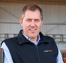 Breed for 'bricks' to produce efficient ewes, says NZ sheep scientist