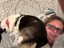 Anyone else think they were getting a dog but received a parrot?