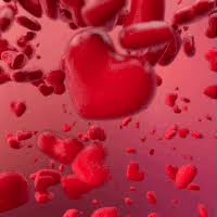 Image result for love picture