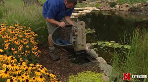 Choosing the right plants greatly adds to your enjoyment of the pond as well as that of visiting or resident wildlife. Pond Plants Design Youtube