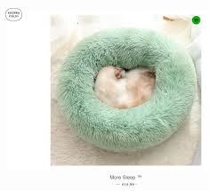 We did not find results for: Petsboutiques Com Fake Dog Bed Online Shop Fakes Scams And Frauds Of Internet