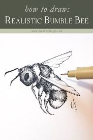 This vector set includes hand drawn illustrations, seamless patterns, repeated digital paper printble for scrapbooking. How To Draw A Realistic Bumble Bee Bee Drawing Bee Sketch Bee Painting