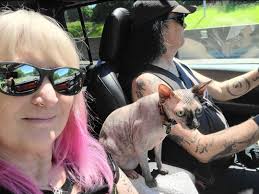 Traveling without a tow vehicle or toad? Cat care tips needed