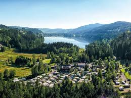 We found black forest online when searching for something close to dupont state park (waterfalls) and flat rock (sky top orchard, carl sandburg house). Camping And Campsites In The Black Forest Camping Info