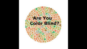 Color Blindness Test Test For Color Blind Ishihara Test Satyendra Mishra