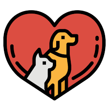 Connect with NGO Icon