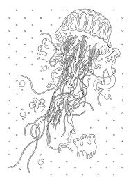 Printable malvorlage qualle meeresbewohner ausmalen fur kinder qualle und ausmalbilder basteln. Le Livre Des Merveilles 300 Coloriages Anti Stress Amazon De Hachette Pratique Fremdsprachige Bucher Lowen Malvorlagen Malvorlagen Tiere Wenn Du Mal Buch