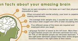 Pin On Brain Stuff