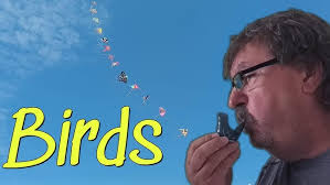 Birds #humor #music #jazz #birds #english #slovakia #hungary #italy  #musicbusiness #winner #positive