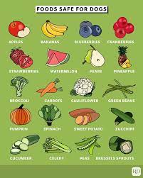 What Fruits And Vegetables Can Dogs Eat Food Safety For Pets