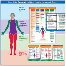 Normal Joint Range Of Motion Chart Head Muscles Range Of