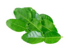 Image result for kaffir lime